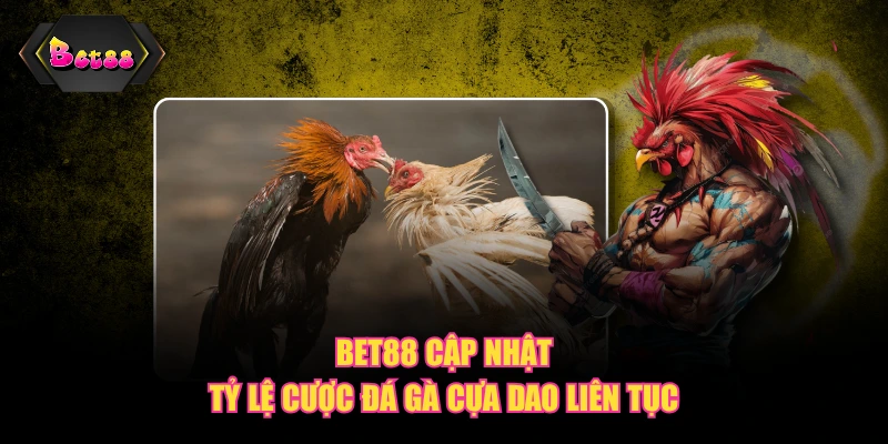 BET88 cập nhật tỷ lệ cược đá gà cựa dao liên tục