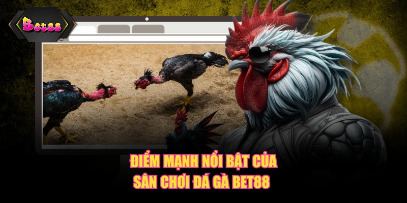 Điểm mạnh nổi bật của sân chơi đá gà BET88 