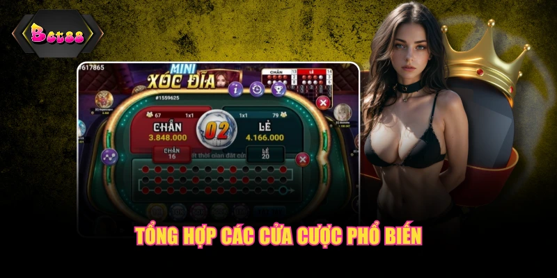 Tổng hợp các cửa cược phổ biến