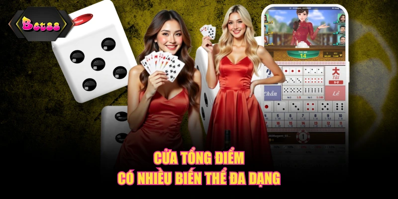 Cửa Tổng Điểm có nhiều biến thể đa dạng