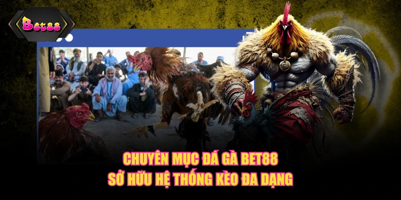 Chuyên mục Đá Gà BET88 sở hữu hệ thống kèo đa dạng